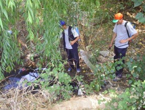 Haşerelere karşı etkin mücadele